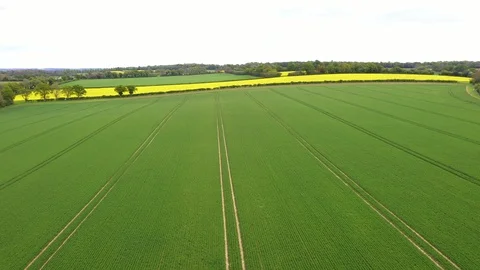 Drone motion footage of bright green  fields Stock Footage 108397233