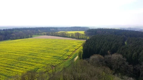 Drone motion footage of bright yellow rapeseed fields Stock Footage 108398995