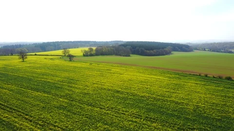 Drone motion footage of bright yellow rapeseed fields Stock Footage 108399072