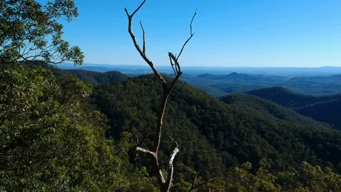 Drone: Mount Glorious Rise Shot Stock Footage 110846824