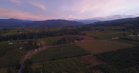 Drone - Mount Hood 3 Stock Footage 106422141