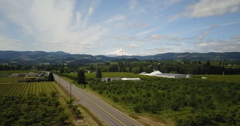 Drone - Mount Hood 4 Stock Footage 106426247