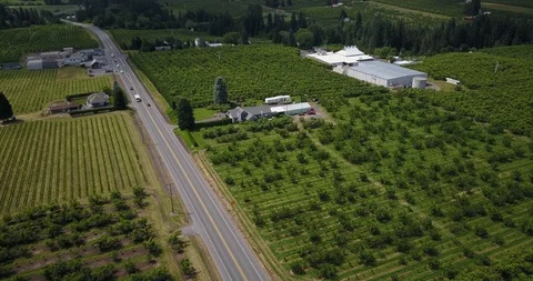 Drone - Mount Hood 5 Stock Footage 106432644