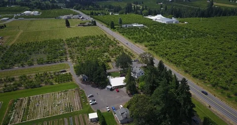 Drone - Mount Hood 6 Stock Footage 106435181