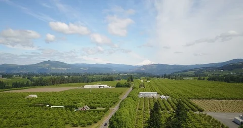 Drone - Mount Hood 7 Stock Footage 106437371