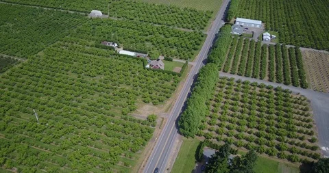Drone - Mount Hood 8 Stock Footage 106438630