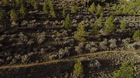 Drone Mountain Biking Stock Footage