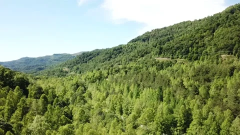 Drone Mountain Footage Stock Footage 132015270