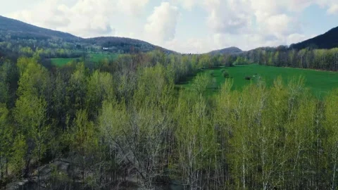 Drone Mountain Forest 2 Stock Footage 272931777
