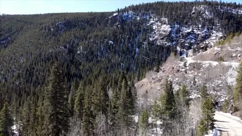 Drone mountain forest and trees in winter Stock-Footage 233760768