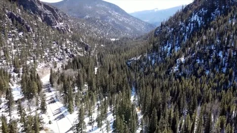 Drone mountain forest and trees in winter Stock Footage 233760769