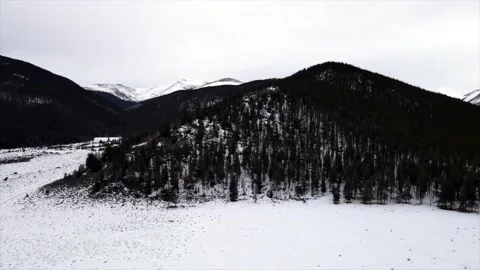 Drone mountain forest and trees in winter Stock-Footage 233760961
