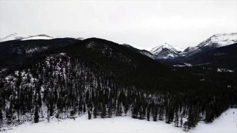Drone mountain forest and trees in winter Stock Footage 233761050