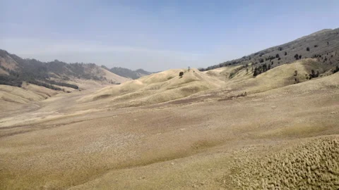 Drone Of Mountains And Tree In Bromo Tengger Semeru Stock Footage 146104176