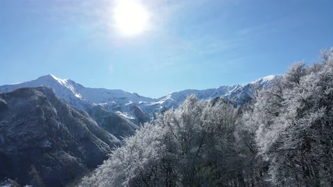 Drone mountains flight over the forest covered of snow. nature 4k, alps Stock Footage 149369278