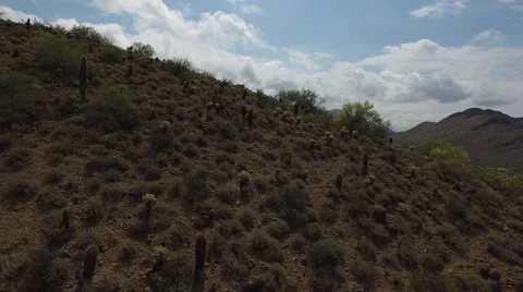 Drone Up Mountainside  库存影片 49567760