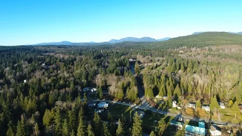 Drone with mountans pine forests and roads Video stock 127024747