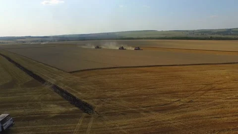 Drone move forward to combines which collecting wheat in the field 4K Stock Footage 120396692