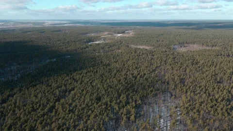 Drone move from sky to the snowy forest top. Winter forest Landscape. Stock Footage 237164304