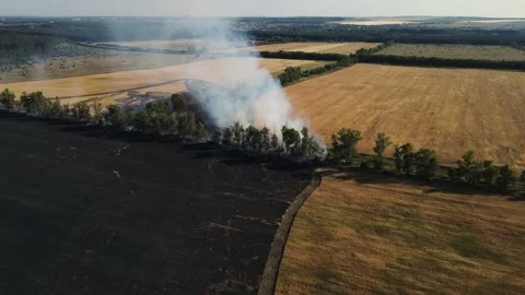 Drone movement along a burning field with wheat Stock Footage 157729371