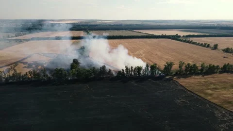 Drone movement along a burning field with wheat 스톡 동영상 158283197