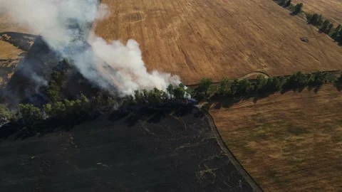 Drone movement along a burning field with wheat Stock Footage 158769961