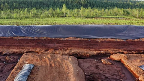 Drone movement from left to right. Peat extraction field with peat piles covered Stock Footage 317934813