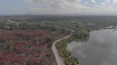 Drone Moves Above after Fire Burning Down Trees In Jungle during dry season. Stock Footage 105326632