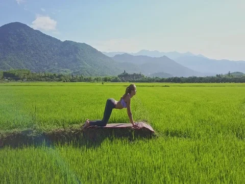 Drone Moves around Girl Holding Yoga Pose Bridge on Field Stock Footage