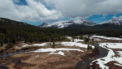 Drone moves away from the dense forest in front of of Mount Dana and Mount Gibbs Video stock 136061223