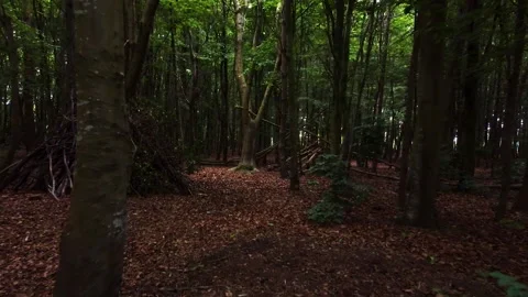 A drone moves cautiously through a forest Stockbeeldmateriaal 155574755