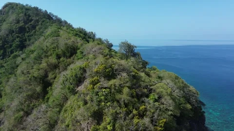 Drone moves forward and turns over reef and trees Stock-Footage 327466984
