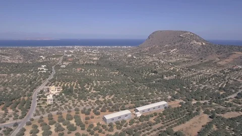 A drone moves over a few trees and reveals the sea in the distance of Crete Stock Footage 100777418