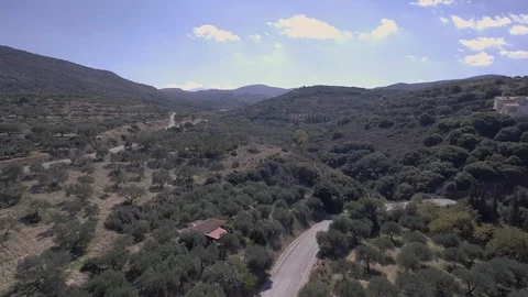 A drone moves over a lot of trees and a road in Crete on a sunny day Stock Footage 100829835
