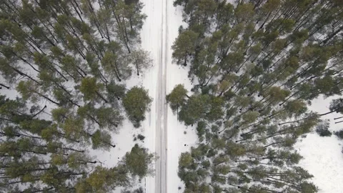 Drone moves over the road passing through the forests in winter Vídeo Stock 162256815