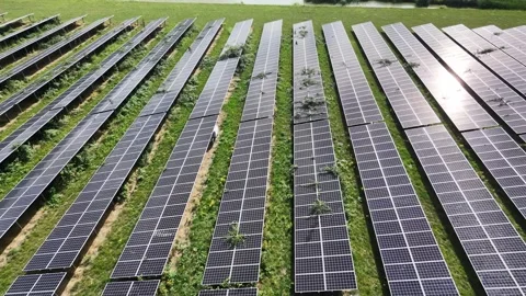 Drone moves over solar panel farm Vidéo 343244752