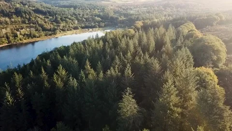 Drone Moves Over Trees Towards Lake at Sunrise 4k Stock Footage 320941886
