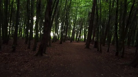 Drone moves towards the edges of a forest Stockbeeldmateriaal 155574898