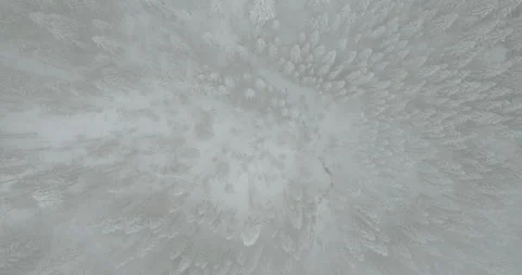  Drone moving above the snow capped pine forest through low thick cloud or fog Stock Footage 167244738