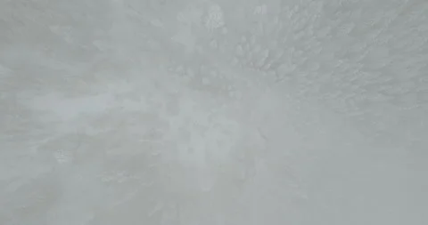  Drone moving above the snow capped pine forest through low thick cloud or fog Stock Footage 167244789