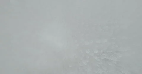  Drone moving above the snow capped pine forest through low thick cloud or fog Stock Footage 167244812