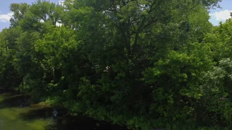 Drone moving along trees and a river in a rural park Stockbeeldmateriaal 200981831