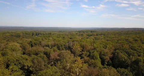 Drone moving backwards over green trees horizon Stock Footage 116689133