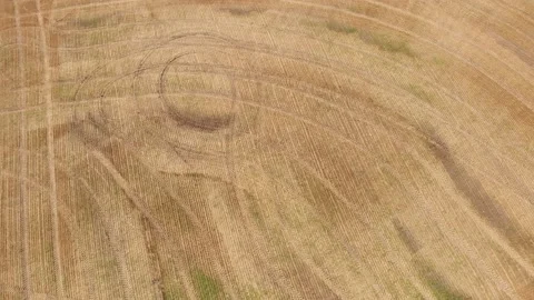 Drone moving backwards over a harvested wheat field covered in tractor tracks Stock Footage 139872733