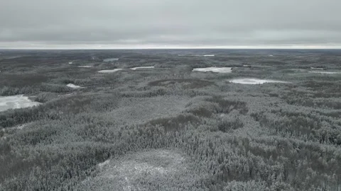 Drone moving forward above a snow covered boreal forest under a gray sky.  Stock Footage 256032026