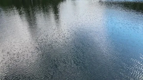 Drone moving forward and looking down onto a pond with small waves.  Stock Footage 273319888