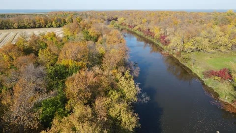 Drone moving forward just above the treetops of a large forest with a river Stock Footage 257723949
