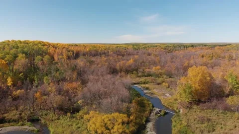 Drone moving forward over a large forest filled with colorful trees.  Stock Footage 139888964