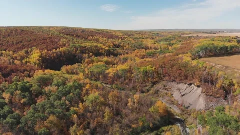 Drone moving forward over a large forest filled with colorful trees Stock Footage 139980974