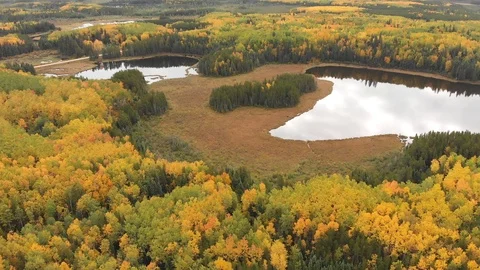 Drone moving forward over several lakes in a forest setting with autumn colors Stock Footage 117866578